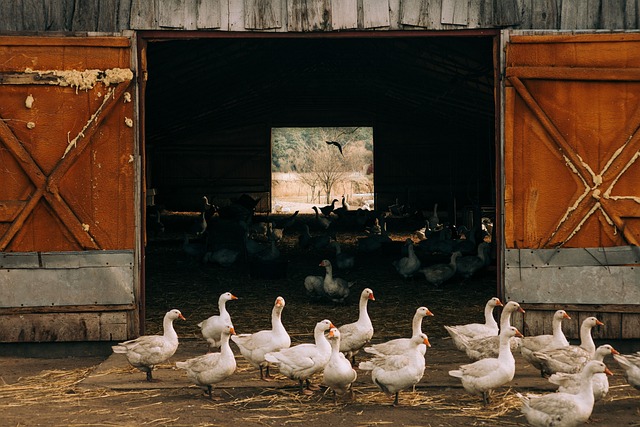 large scale cricket breeding farm with rows of organized breeding bins, automated ventilation ducts, temperature monitoring displays, feed stations and cleaning equipment